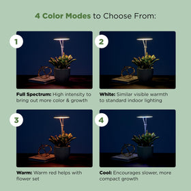 AeroGarden Stem Grow Light suitable for plants up to ten inches tall