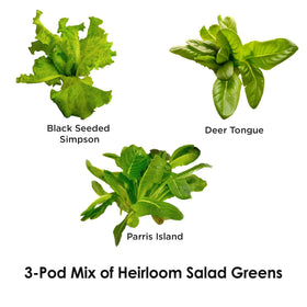 AeroGarden three-pod kit with nutrients ready for quick setup and fresh greens.