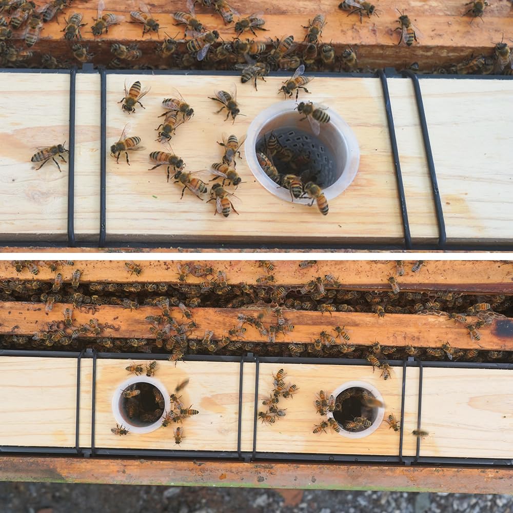 Aetwhy hive feeding solution demonstrating large capacity in a deep hive setup.