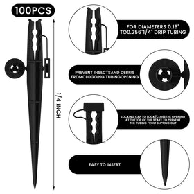 Afarnook quarter-inch tubing stake securing drip line for precise irrigation.
