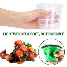 AFHGGZXZ 4-inch clear seedling pot with drainage for healthy root growth.