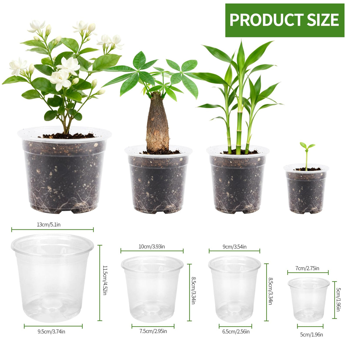 AFHGGZXZ 5-inch clear nursery pot ready for larger transplants outdoors.