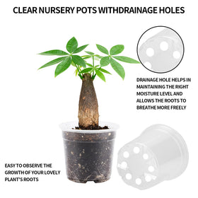 AFHGGZXZ seed starter pots bulk pack suitable for classrooms and clubs.