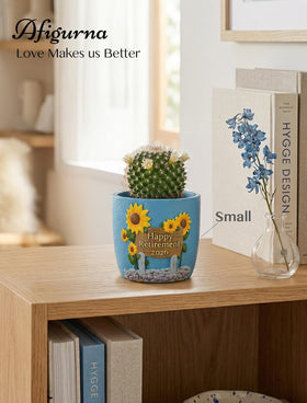 Afigurna succulents and herbs thrive in the small pot for home decor
