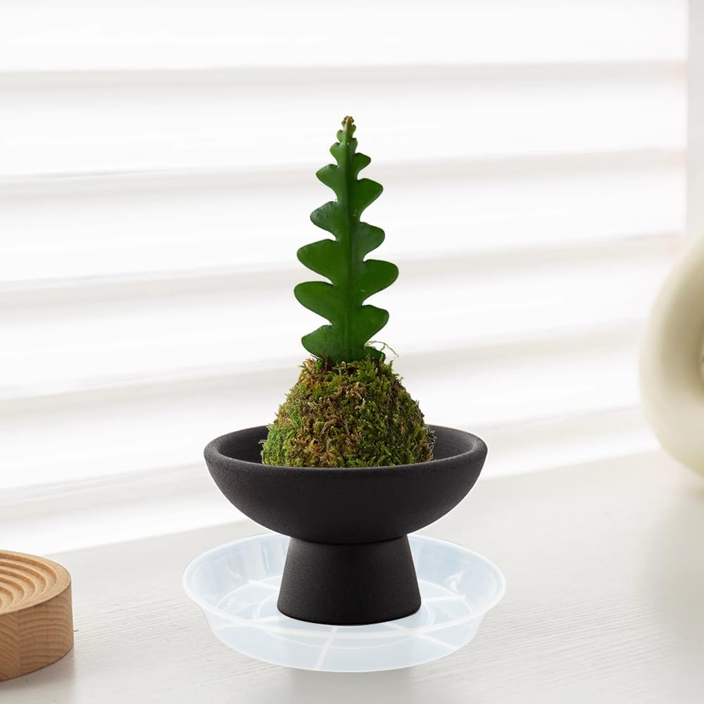 Afrine saucer with decorative pebbles illustrates patio decor and plant protection.
