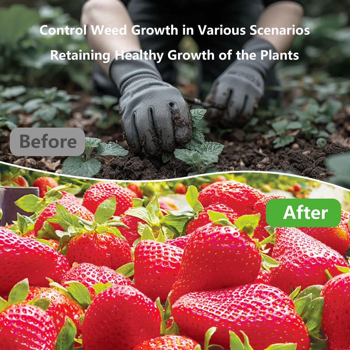 AGEGOMIC versatile paper for vegetables, flowers, beds, and greenhouses
