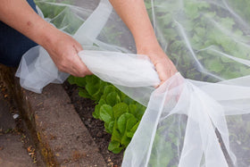 Agfabric cut-to-size garden netting adapts to beds and containers