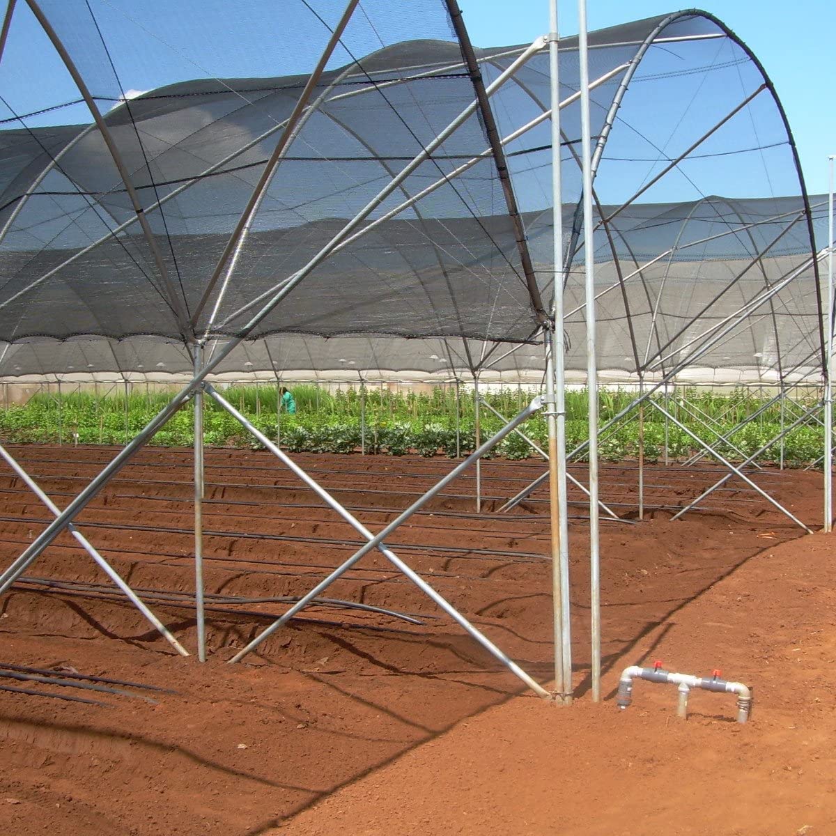 Agfabric greenhouse shade cloth keeps interior cooler and protected