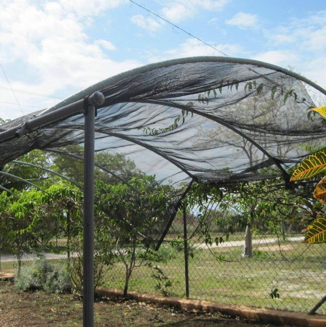 Agfabric greenhouse shade mesh protects crops from harsh sun.