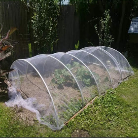 Agfabric insect barrier nets allow water, air, and sunlight to reach plants.