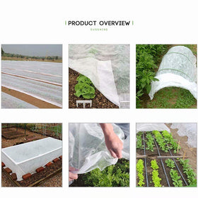 Agfabric plant cover secured with hoops for airflow