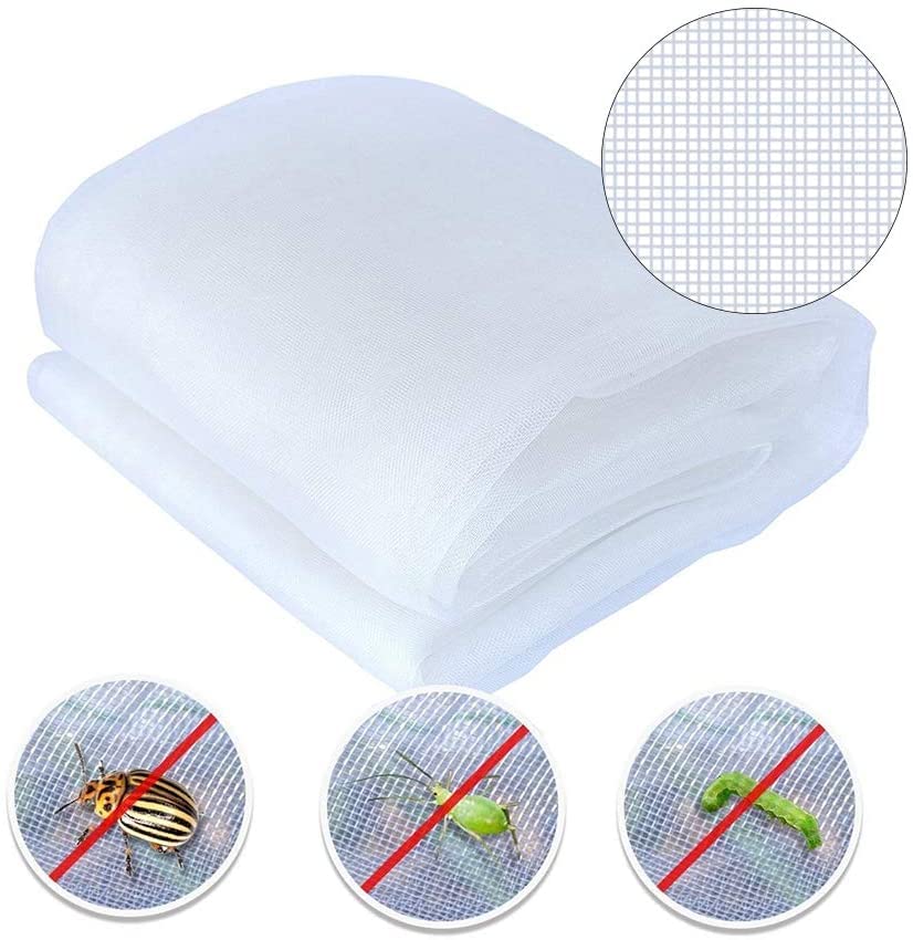 Agfabric protects vegetables with bird netting while preserving sunlight and airflow