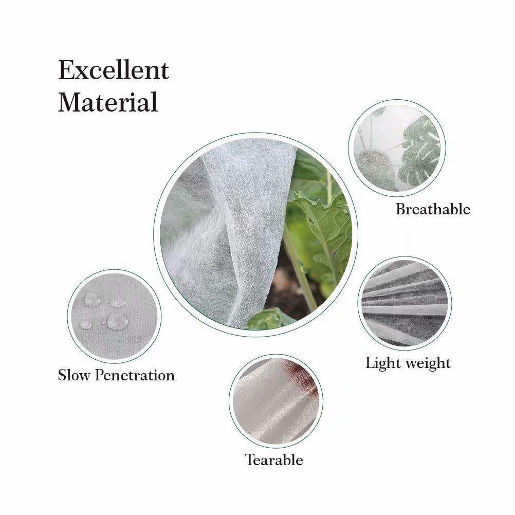 Agfabric row cover provides breathable light for vegetables.