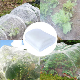 Agfabric see-through protection for vegetables and fruits supports growth monitoring.