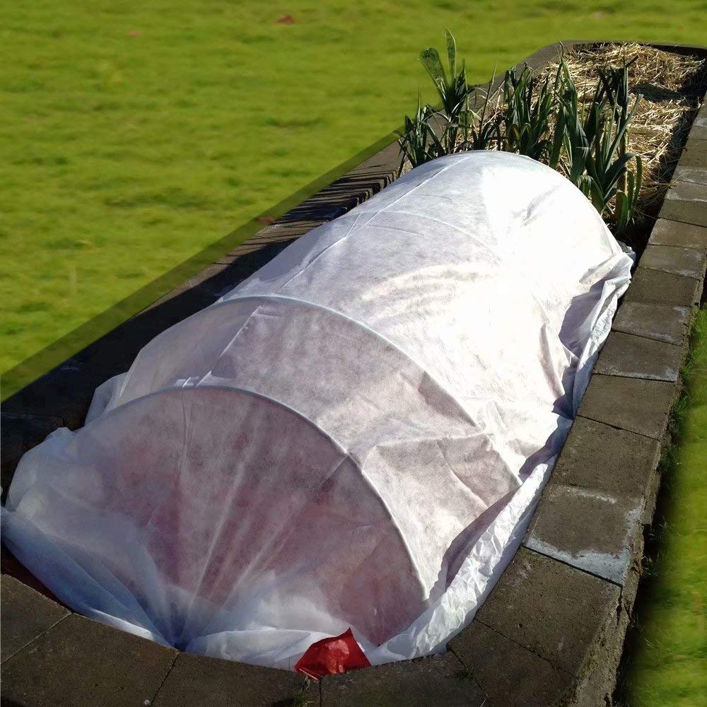 Seedling germination under Agfabric frost blanket
