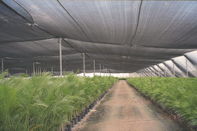 Agfabric shade cloth allows water through while shading plants
