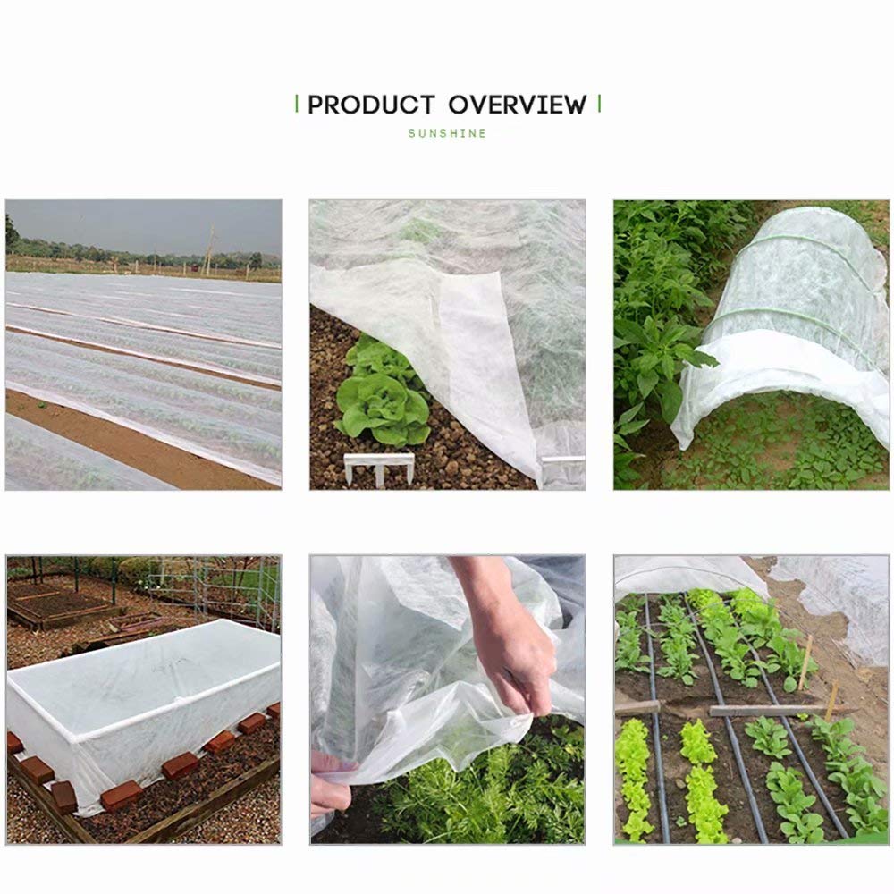 Agfabric plant cover used for seed germination and early growth