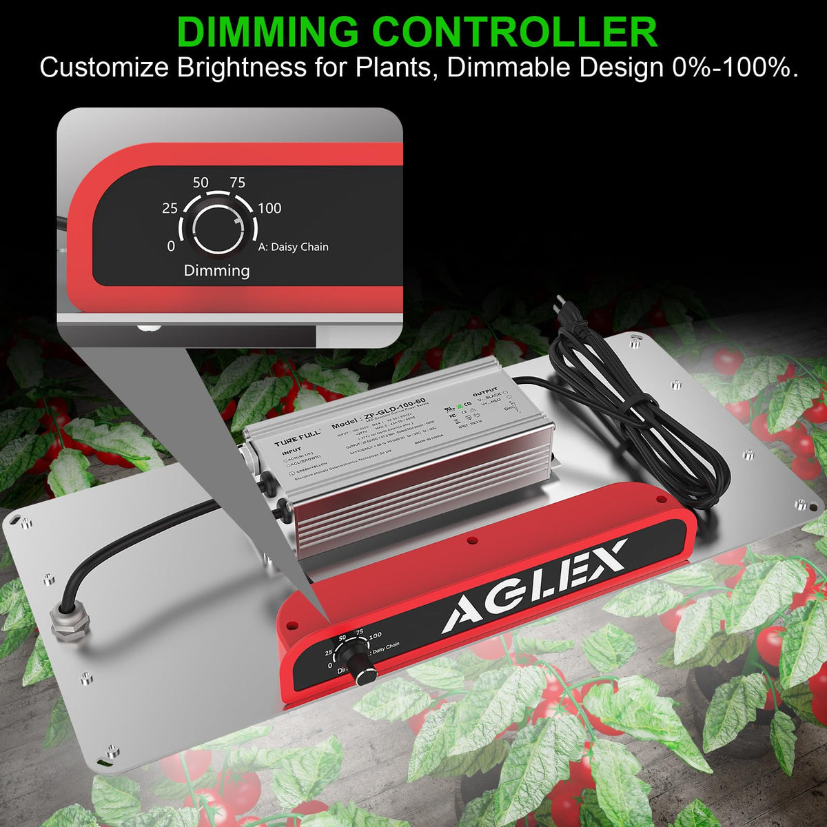 AGLEX K1000 coverage 2x3ft demonstrates effective area for small grow tents