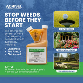 Agrisel Pendi Hydrocap demonstrates pre-emerge action to prevent seed germination.