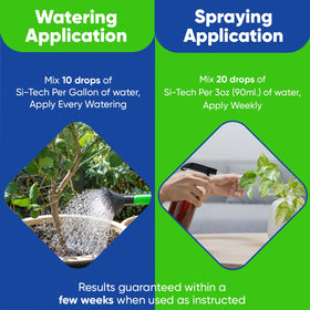 AgroMagen Si-Tech Silica hydroponics-application shows easy use in soilless systems.