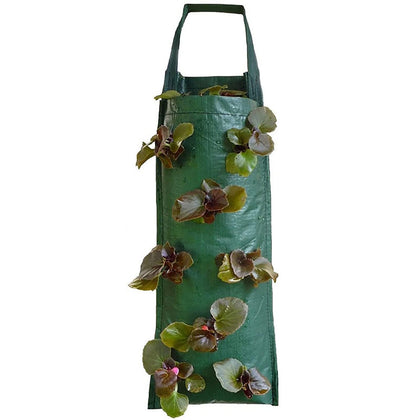 AGYTBG 2024 hanging strawberry planter showing compact, space-saving design for patios and balconies.