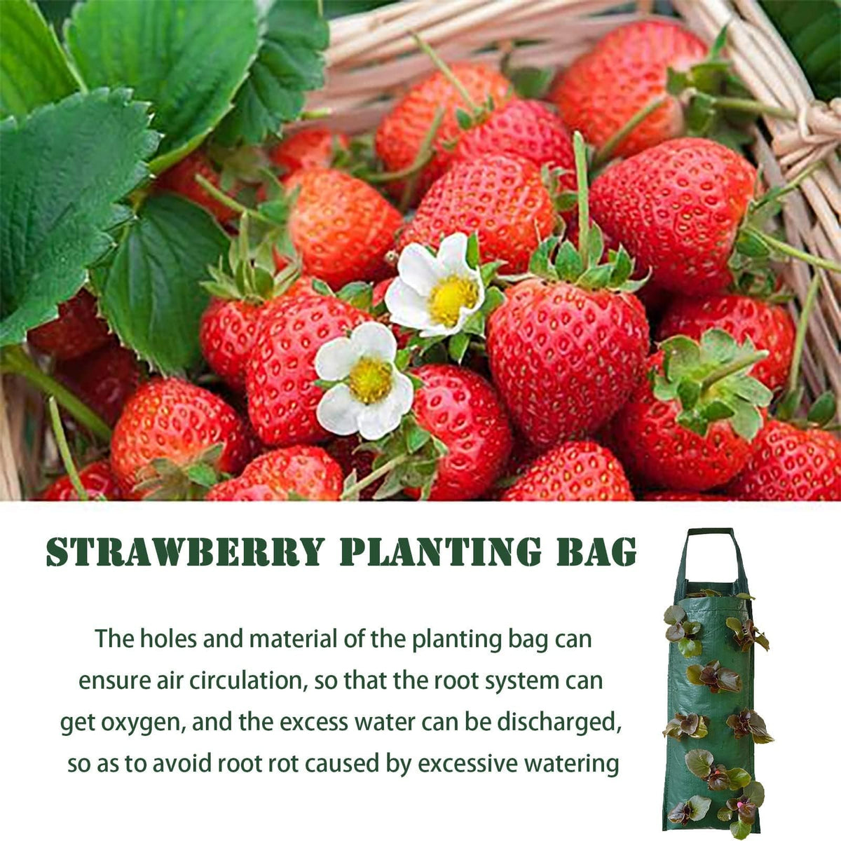 AGYTBG hanging strawberry plant grow bags enabling easy maintenance and fruit access.