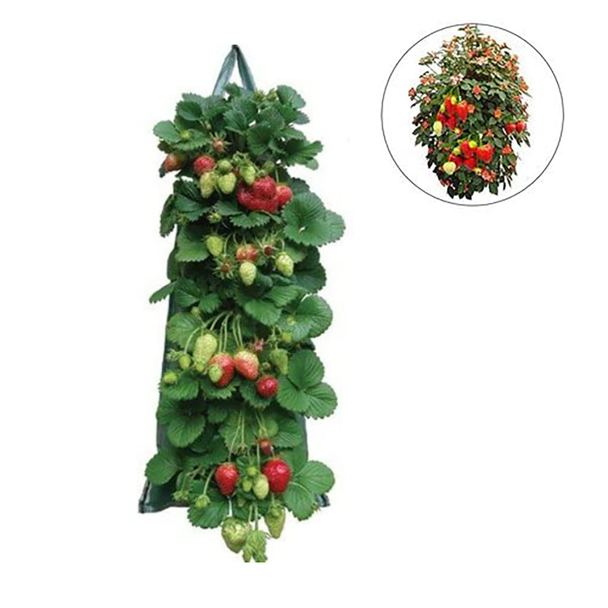 AGYTBG wide-use bags suitable for balcony and patio gardens and mixed plantings.