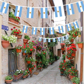 AhfuLife Argentina bunting indoor-outdoor use suitable for versatile events.