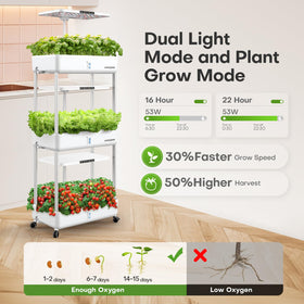 Ahopegarden 30L water tanks sustain irrigation for leafy greens and herbs.