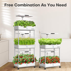 Ahopegarden kitchen hydroponics system for balcony farming and family gardening.