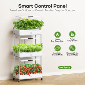 Ahopegarden triple-layer hydroponics supports zone planting for diverse crops.