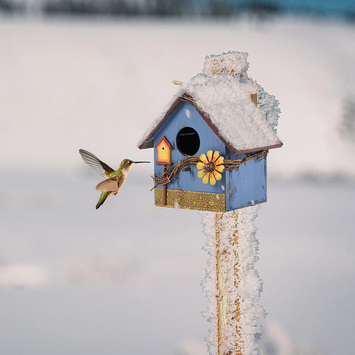 AHUONEL safety extension entrance hole protects young birds