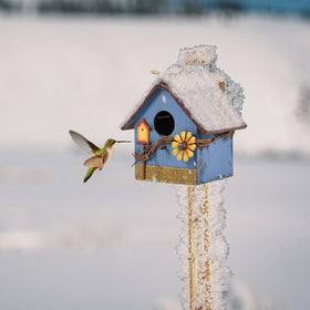 AHUONEL safety extension entrance hole protects young birds