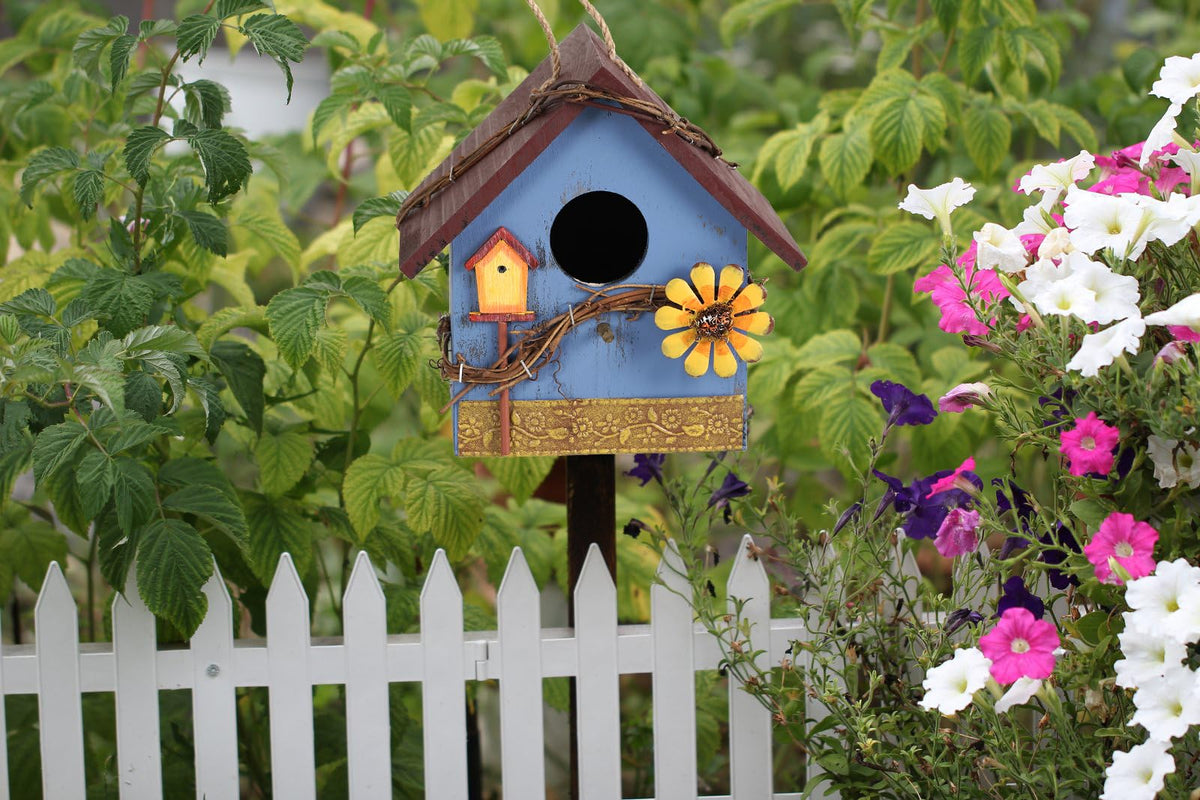 AHUONEL attract hummingbirds and bluebirds in suitable spaces