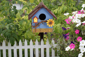 AHUONEL attract hummingbirds and bluebirds in suitable spaces