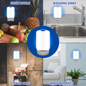 AICase adhesive backing captures flying insects without touching the trap.
