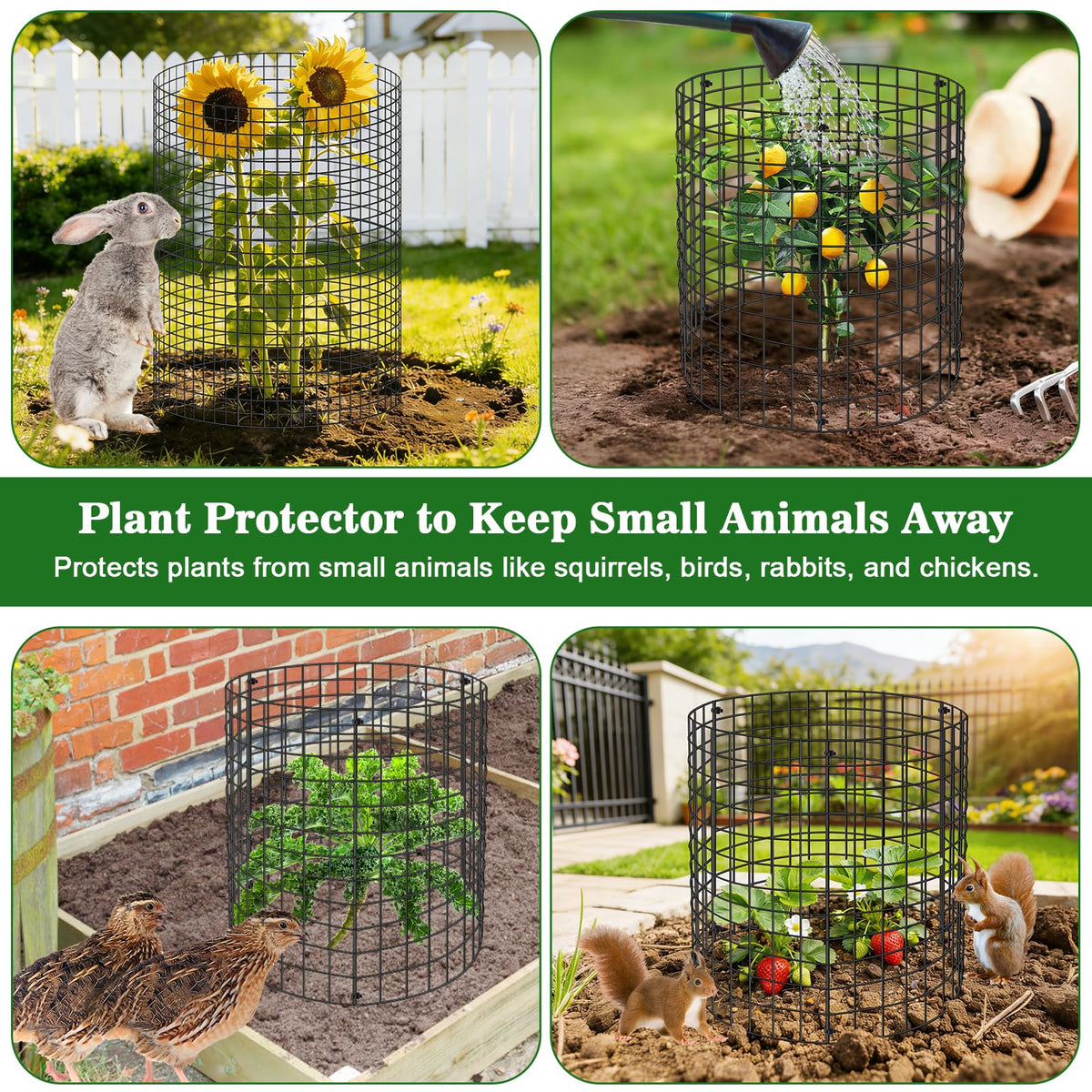 Aifanss plant protectors arranged around beds for garden protection.
