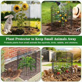 Aifanss plant protectors arranged around beds for garden protection.