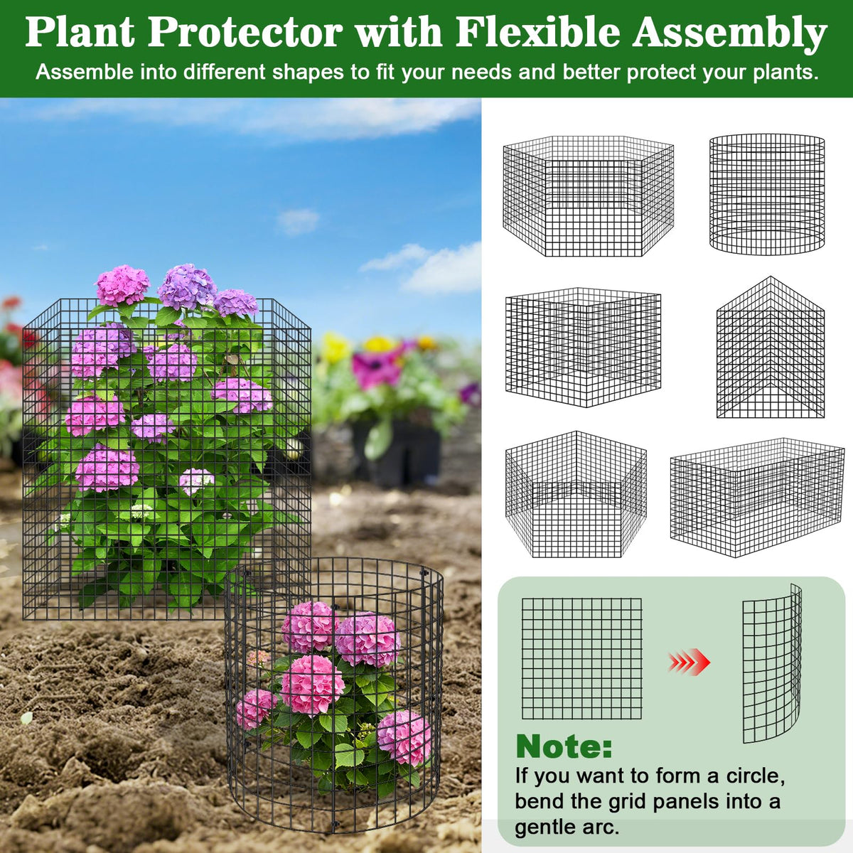 Aifanss cage protecting roses and tomatoes from common garden pests.