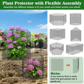 Aifanss cage protecting roses and tomatoes from common garden pests.