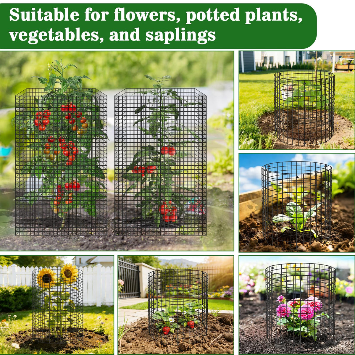 Aifanss easy-to-store plant cages after the growing season.