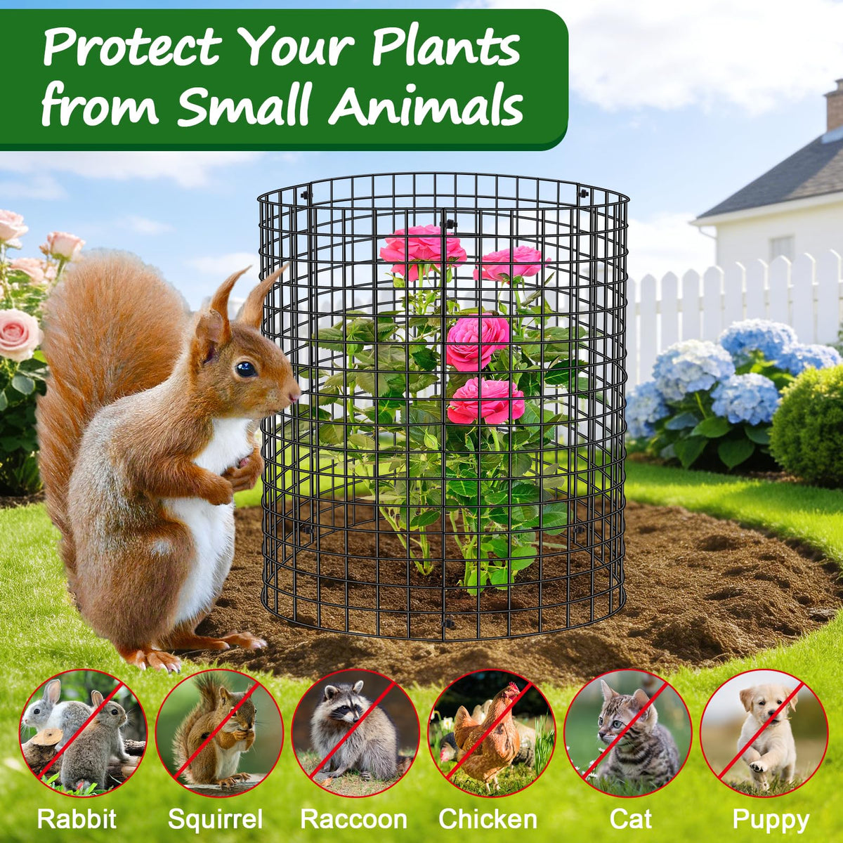Aifanss rustproof iron wire protective cage built for outdoor use