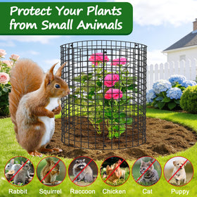 Aifanss rustproof iron wire protective cage built for outdoor use