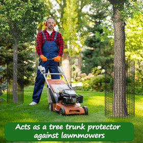 Aifanss protection for vegetables and shrubs in outdoor beds
