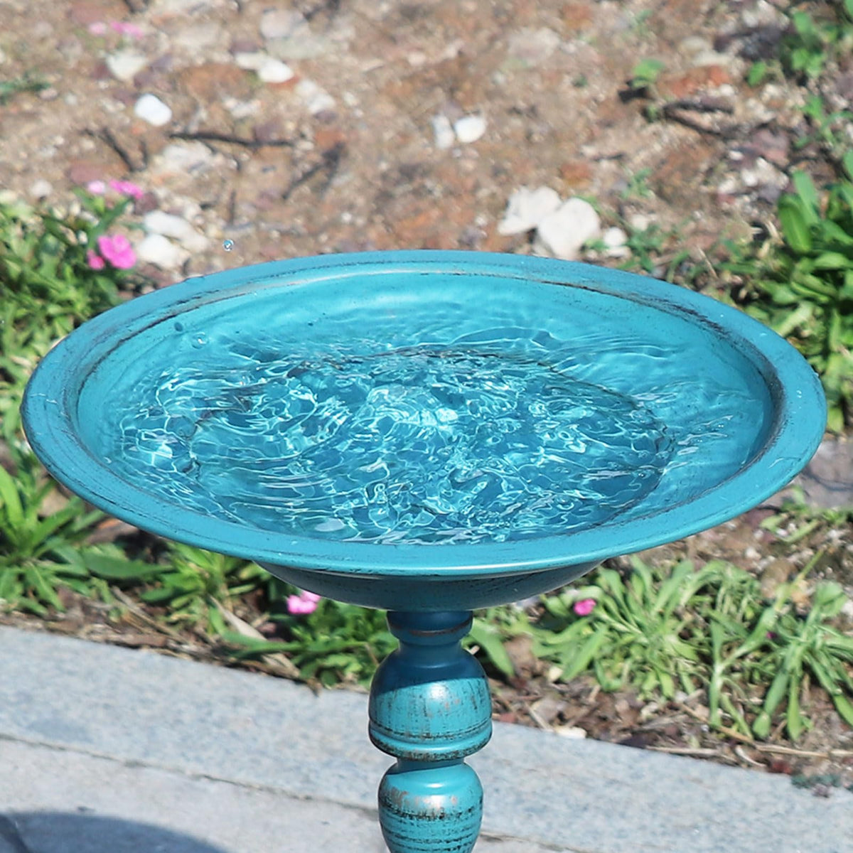 AIHAOKAN bird feeder seed tray option attracts diverse backyard birds.
