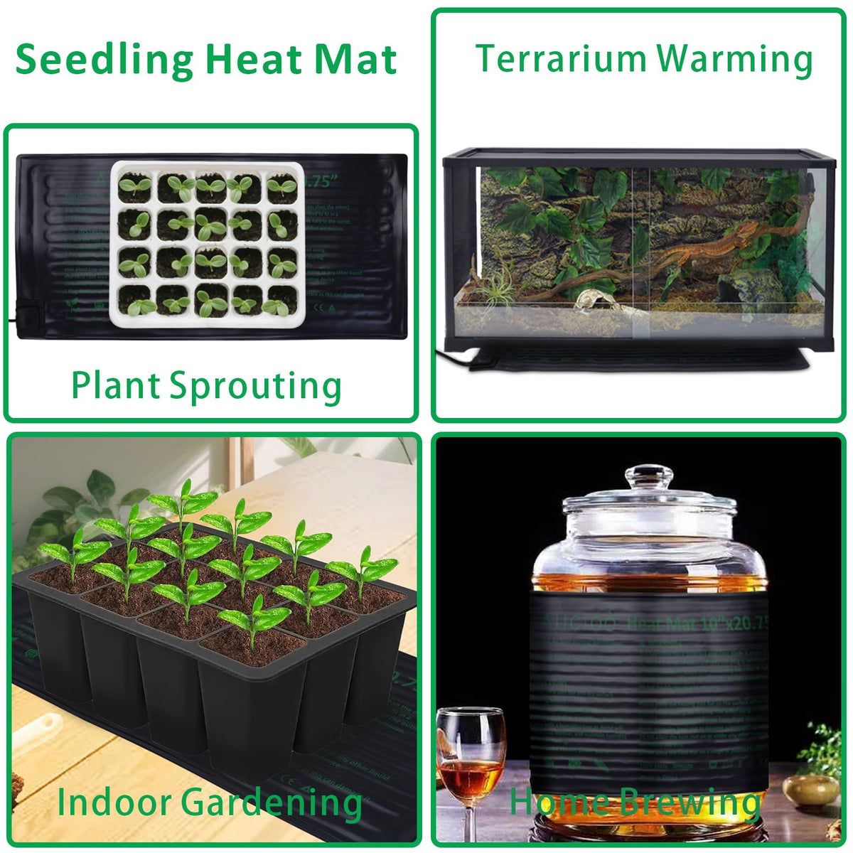 Aiicioo seed start setup under a humidity dome for growth