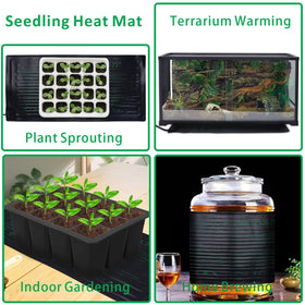 Aiicioo seed start setup under a humidity dome for growth