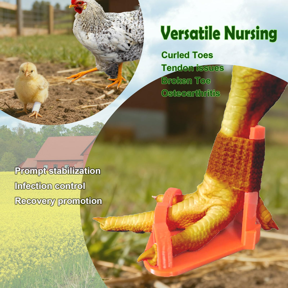 AIJINZUN easy-apply splint for quick immobilization in the coop.