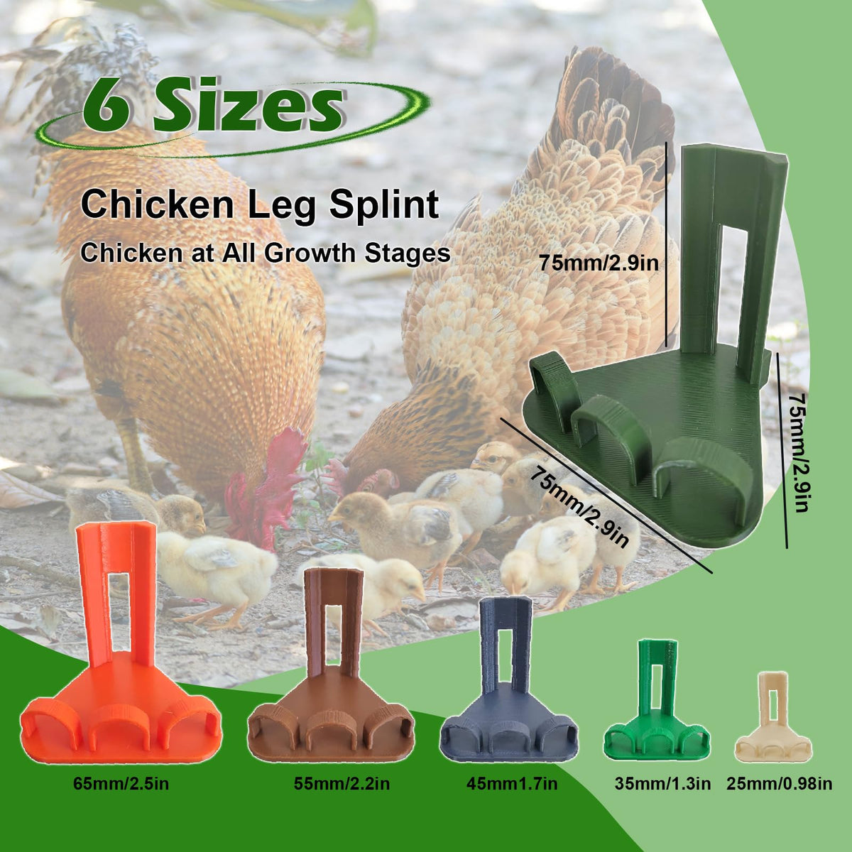 AIJINZUN toe separator and splint improve leg alignment for chickens.
