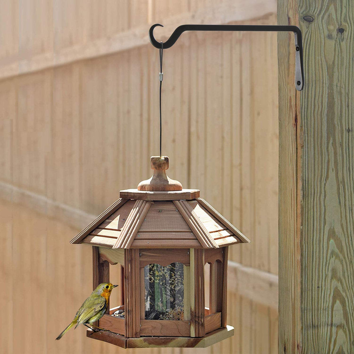AILIN YELOKIE bird feeder hanger on a balcony ready to attract birds